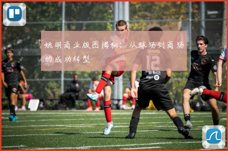 姚明商业版图揭秘:从球场到商场的成功转型