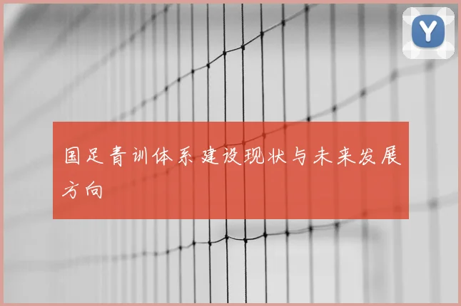 国足青训体系建设现状与未来发展方向
