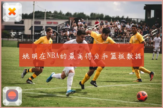姚明在NBA的最高得分和篮板数据